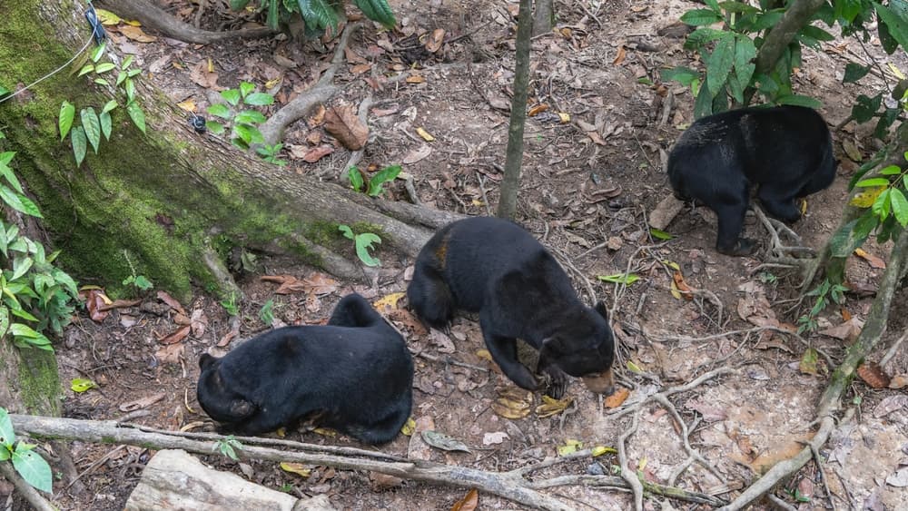Jour 10