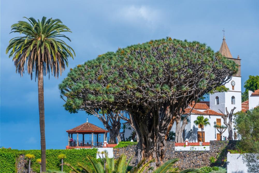 Les plus belles villes et plus beaux villages de Tenerife à découvrir